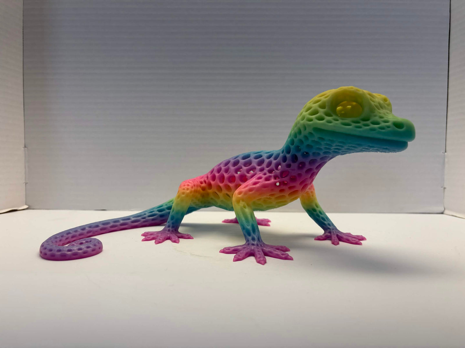 Luminous Geko