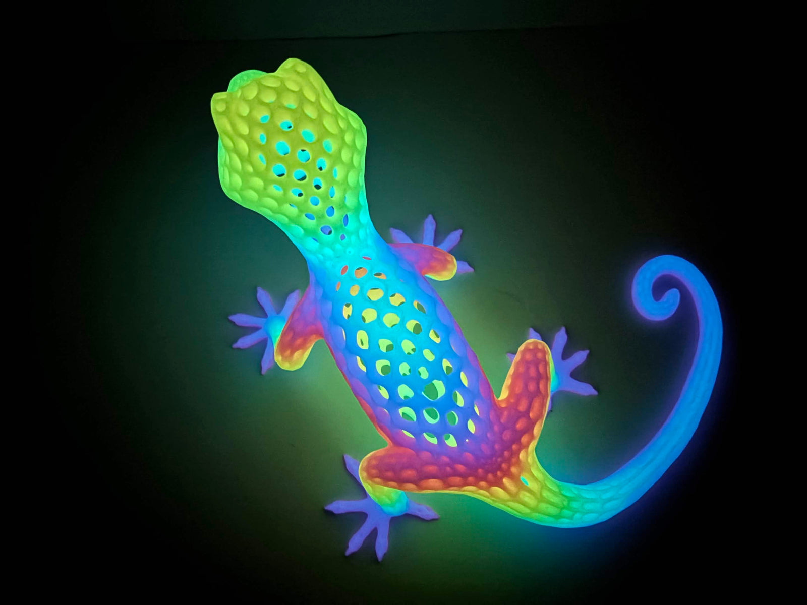 Luminous Geko