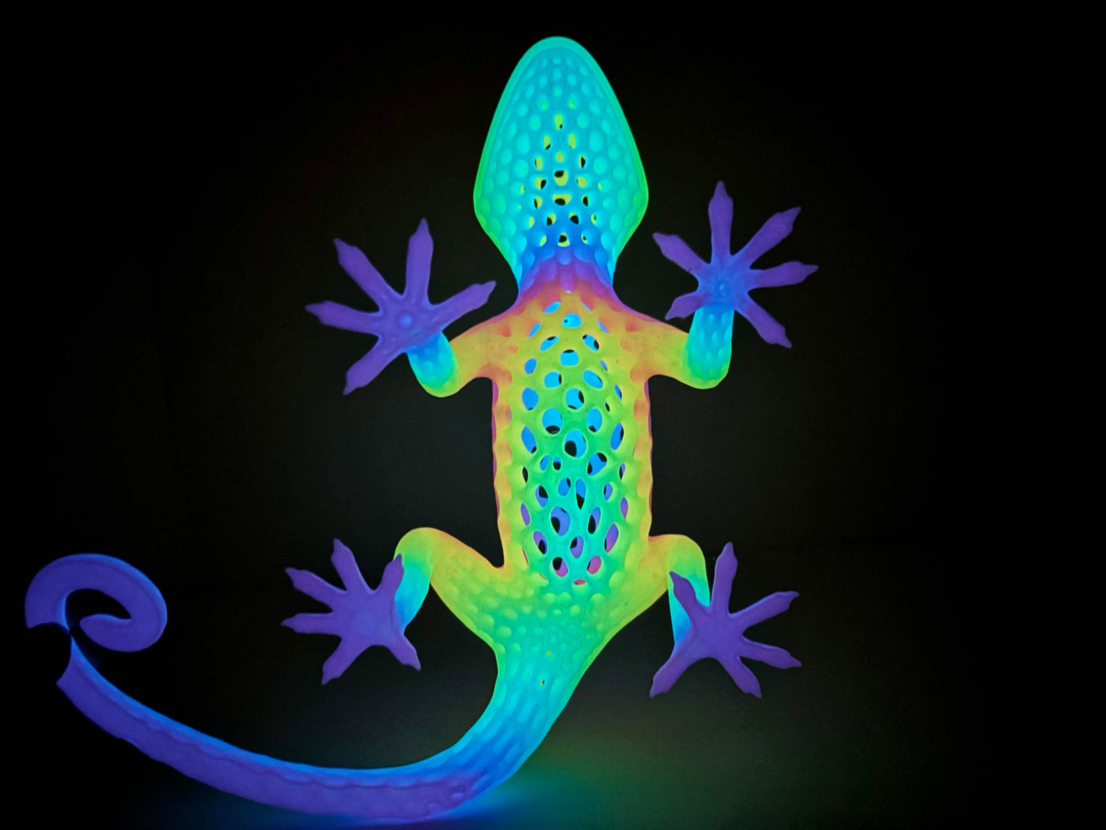 Luminous Geko